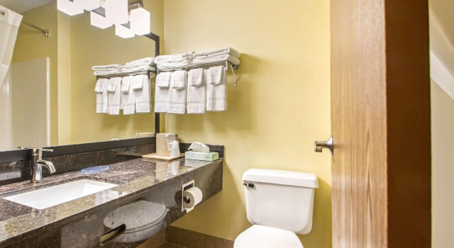 Четырёхместный номер Standard Comfort Inn & Suites Wisconsin Dells