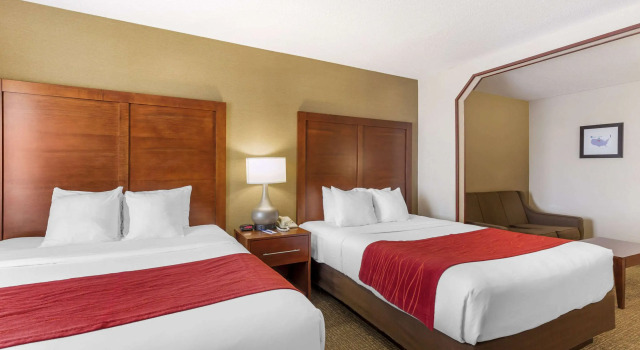 Четырёхместный люкс Comfort Inn & Suites Rapid City South - Mt Rushmore Gateway