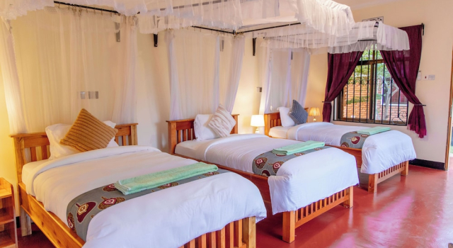 Номер Comfort Siafu Camps and Lodges