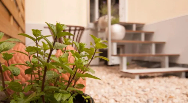 Апартаменты BAUHAUS Design-Luxus Apartment, 20er Jahre Stil, Garten