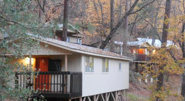 Кровать в общем номере Yosemite Bug Rustic Mountain Resort