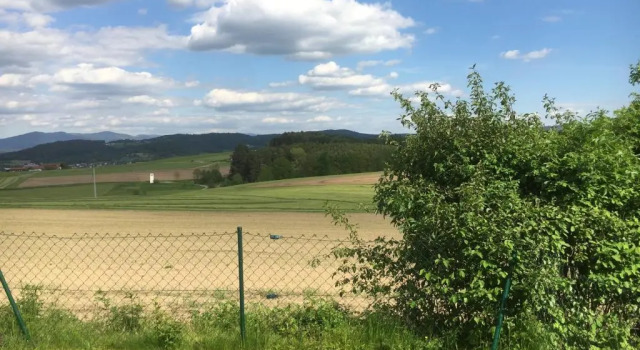 Апартаменты с видом на сад Apartmentanlage am Kellerberg