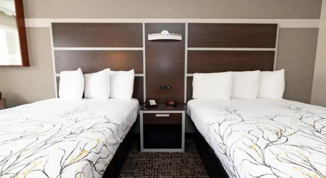 Четырёхместный номер Executive Magnuson Hotel Virginia Beach