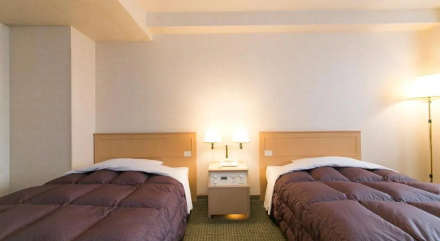 Двухместный номер Superior Hida Takayama Washington Hotel Plaza