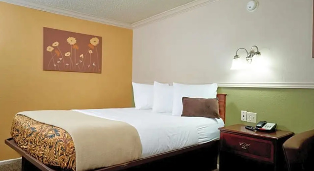 Номер Standard Family Garden Inn & Suites