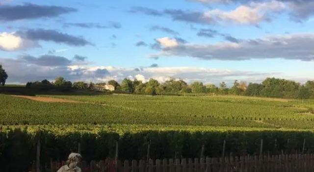 Номер Standard Au charmant des vignes