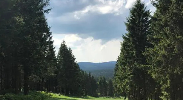 Hahnenklee Ferienpark 7-511