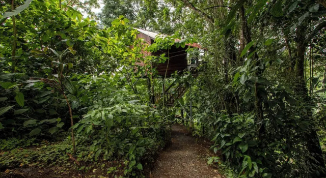 Коттедж Arenal Rústic Lodge