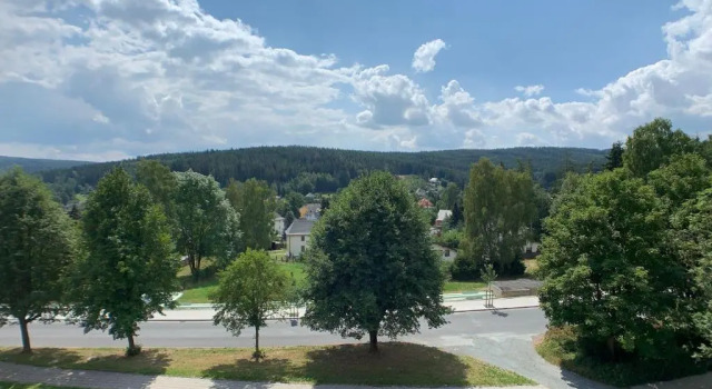 Апартаменты с 2 комнатами Komfortables Apartment in Bad Elster mit Netflix