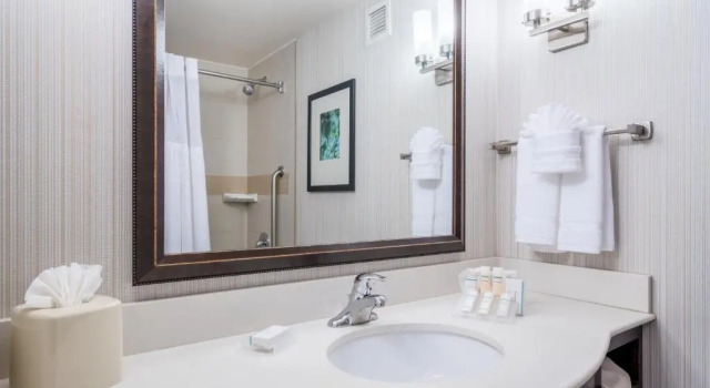 Двухместный номер Premium Hilton Garden Inn Valley Forge/Oaks