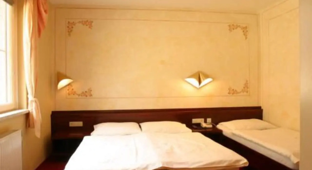 Одноместный номер Standard Kuschelhotel Zeman