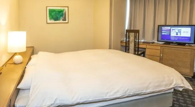 Двухместный номер Standard Hotel Zaaz