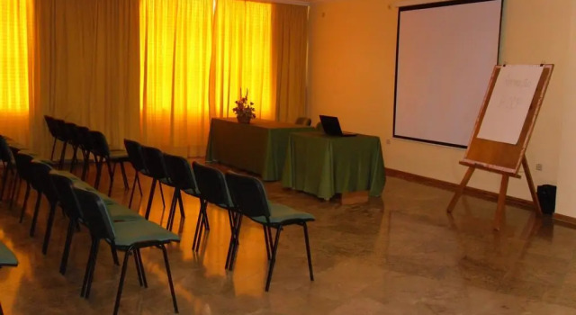 Двухместный номер Standard Grande Hotel Dom Dinis
