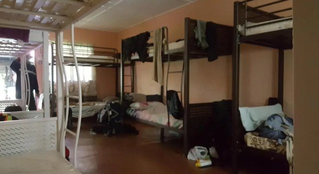 Кровать в общем номере Gecko Guesthouse