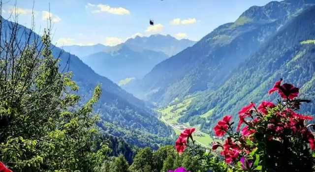 Коттедж Alpine Vacation Home