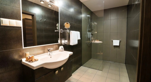 Одноместный номер Executive Hotel Atena