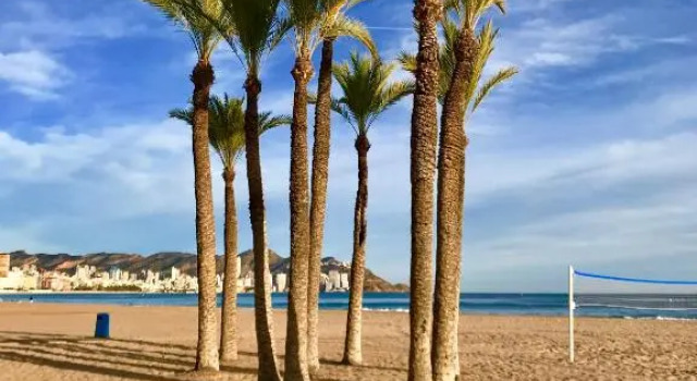 Апартаменты Neptuno on the Beach