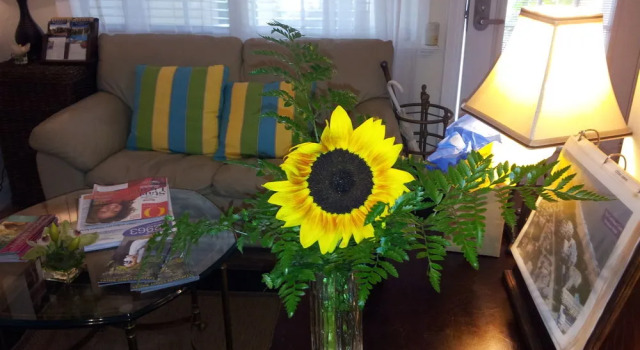 The Caribbean Court Boutique Hotel, Book Boutique Vero Beach South Florida