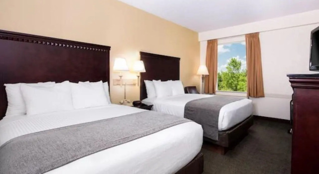 Четырёхместный номер Standard Savannah House Hotel