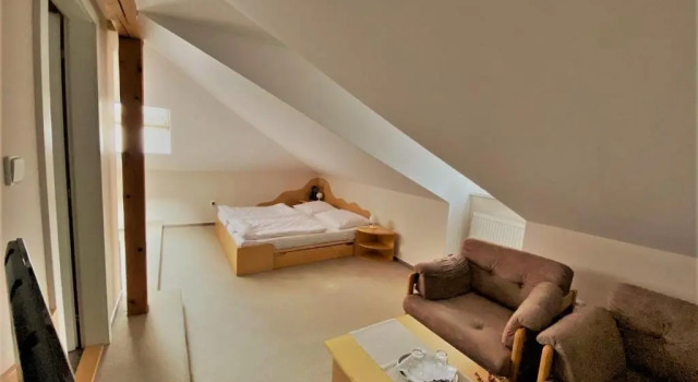 Двухместный номер Standard с красивым видом из окна Hotel Zámeček na Čeladné
