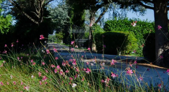 Appartamento Le Ginestre, Varaa Huoneisto Spoleto Umbria