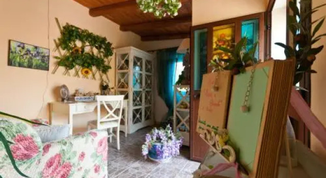 Fiori e Coccole