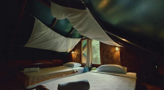 Апартаменты Our Jungle House