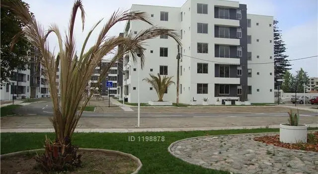 Renta Oasis