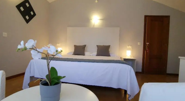 Номер Standard Hotel El Trasgu