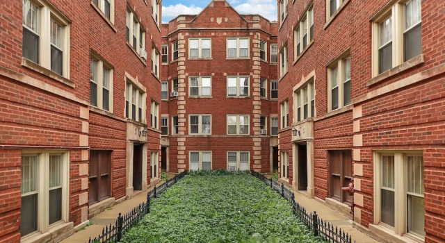 1BR Portage Park Apt in Montrose