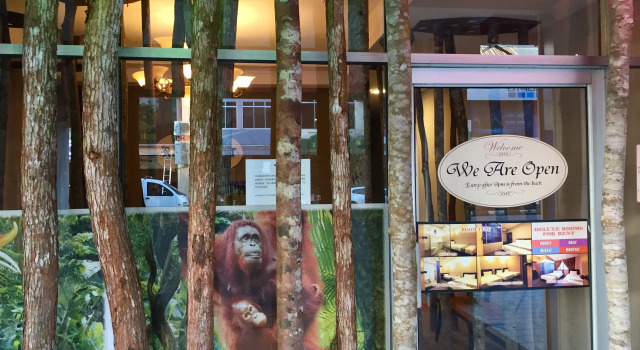 Rainforest Budget Stay, Boek Hotel Goedkope hotels in Borneo