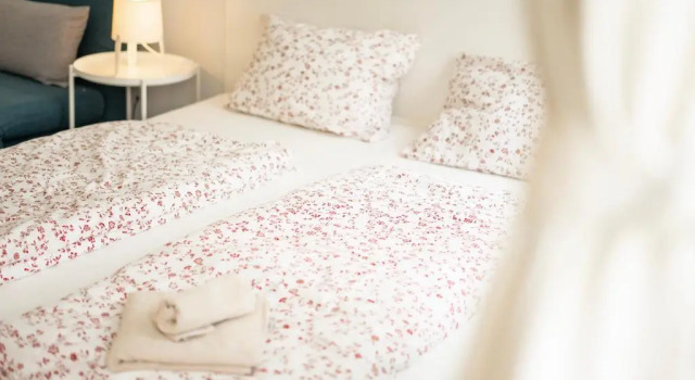Vienna Living Apartments - Dammstraße, Rezervați Apartament 20. Brigittenau Viena, aproape de Dresdner Strasse