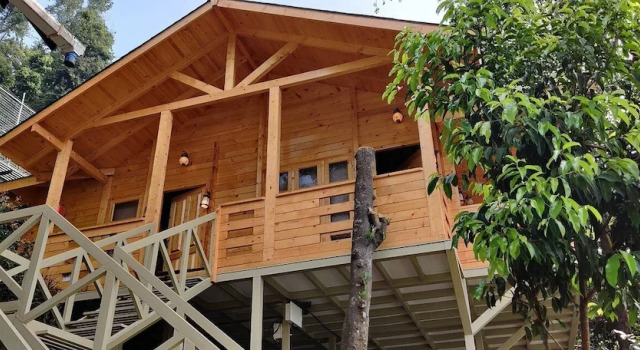 Номер Premium с балконом Woodrose Resort