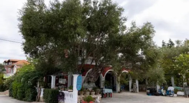 Aparthotel 4 Stars Vasilikos
