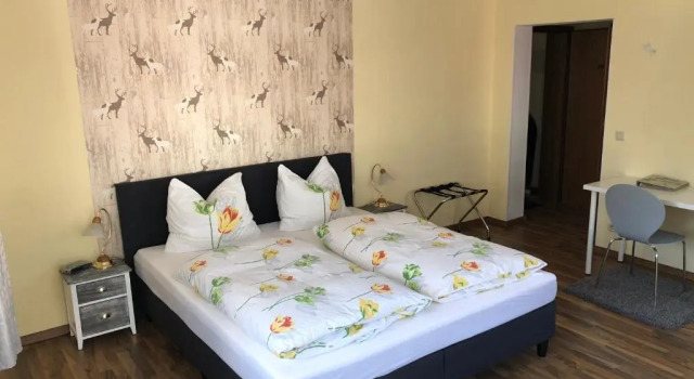 Номер Superior Landhotel Alte Aue