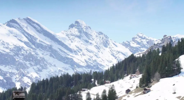 Кровать в общем номере Sportchalet Mürren