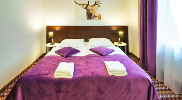 Двухместный номер Standard Boutique Eco Hotel Sasanka