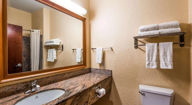 Двухместный номер Standard Jetted Tub Best Western Texas City I-45
