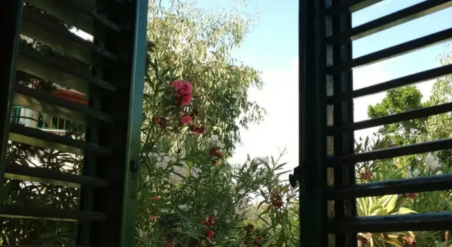 Villa Regina, Book Villa Cottages in Messina, Cottage