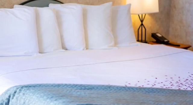Номер Economy Swiss Alps Inn