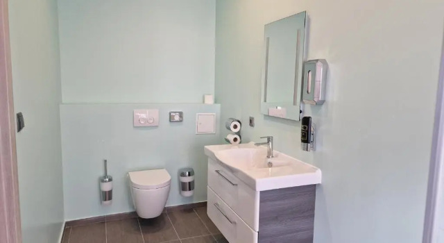 Двухместный номер Deluxe Palais Pálffy Apartments Vienna