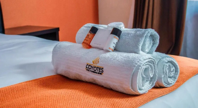 Номер Standard Coyotes Hotel and Conference Centre