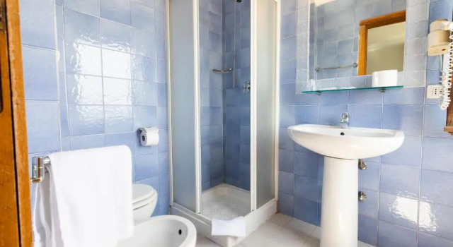 Одноместный номер Standard Hotel De Plam