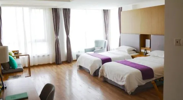 Двухместный люкс Taisheng Xiaozhen  Hotel
