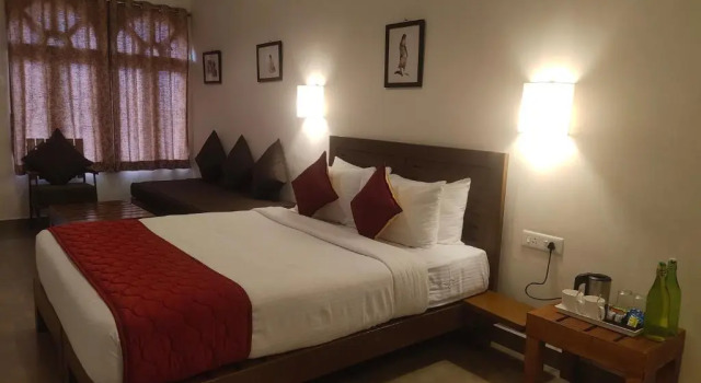 Mango Hill Kodai