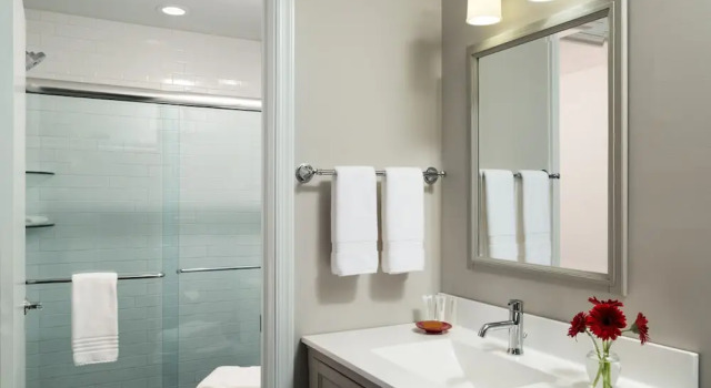 Номер Deluxe Silver Birches Resort
