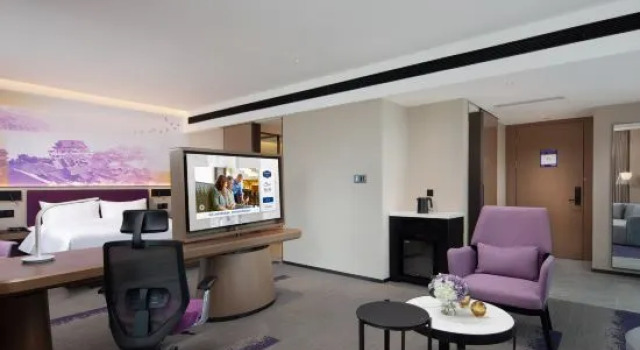Люкс Deluxe Hampton by Hilton Yibin Railway Station