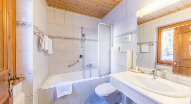 Номер Standard Hotel Karl Schranz