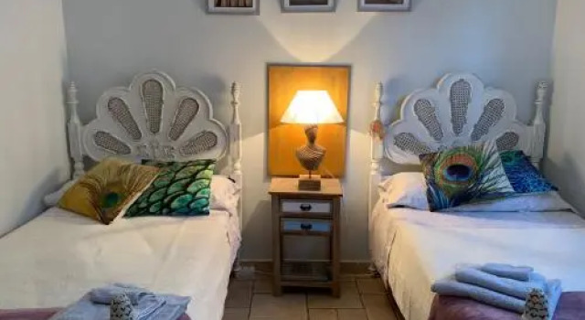 Indigo Star House