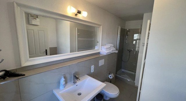 Standard cameră Suite & Apart